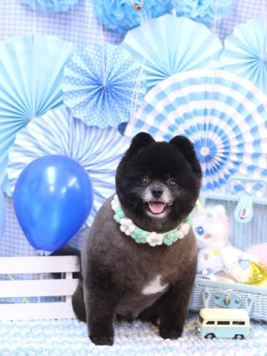 20231119れおくん